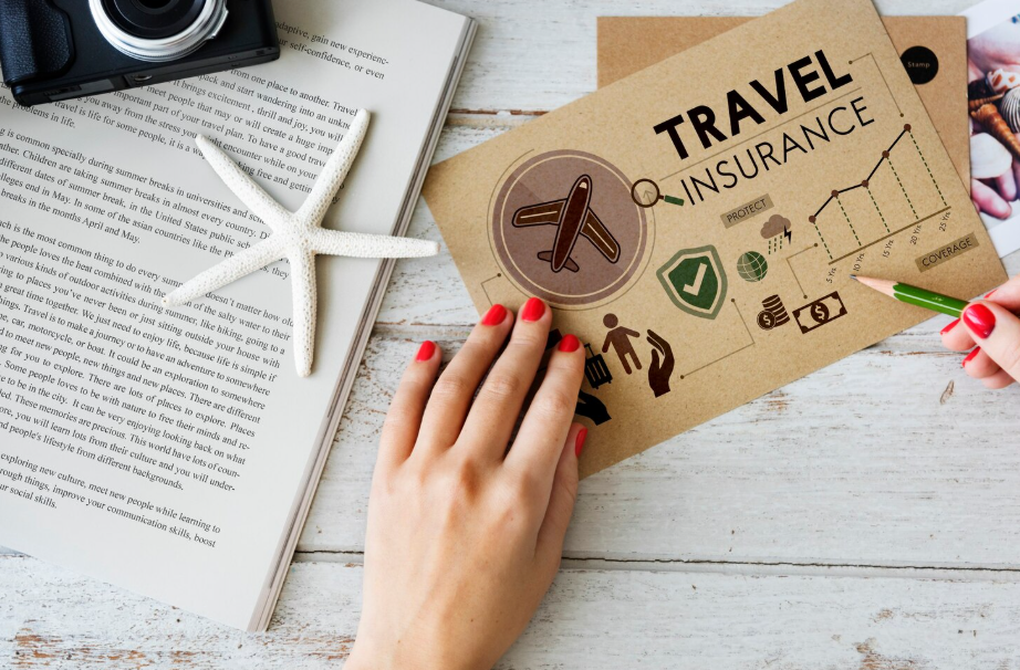Cruise travel insurance documents with a camera and starfish on a wooden table